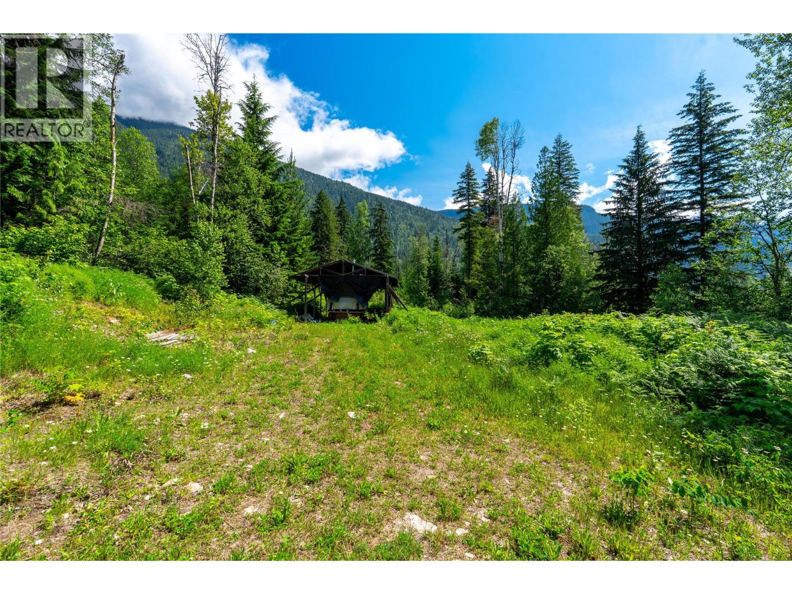 7455 19 Mile Road, Revelstoke, British Columbia  V0E 2S0 - Photo 14 - 10394776