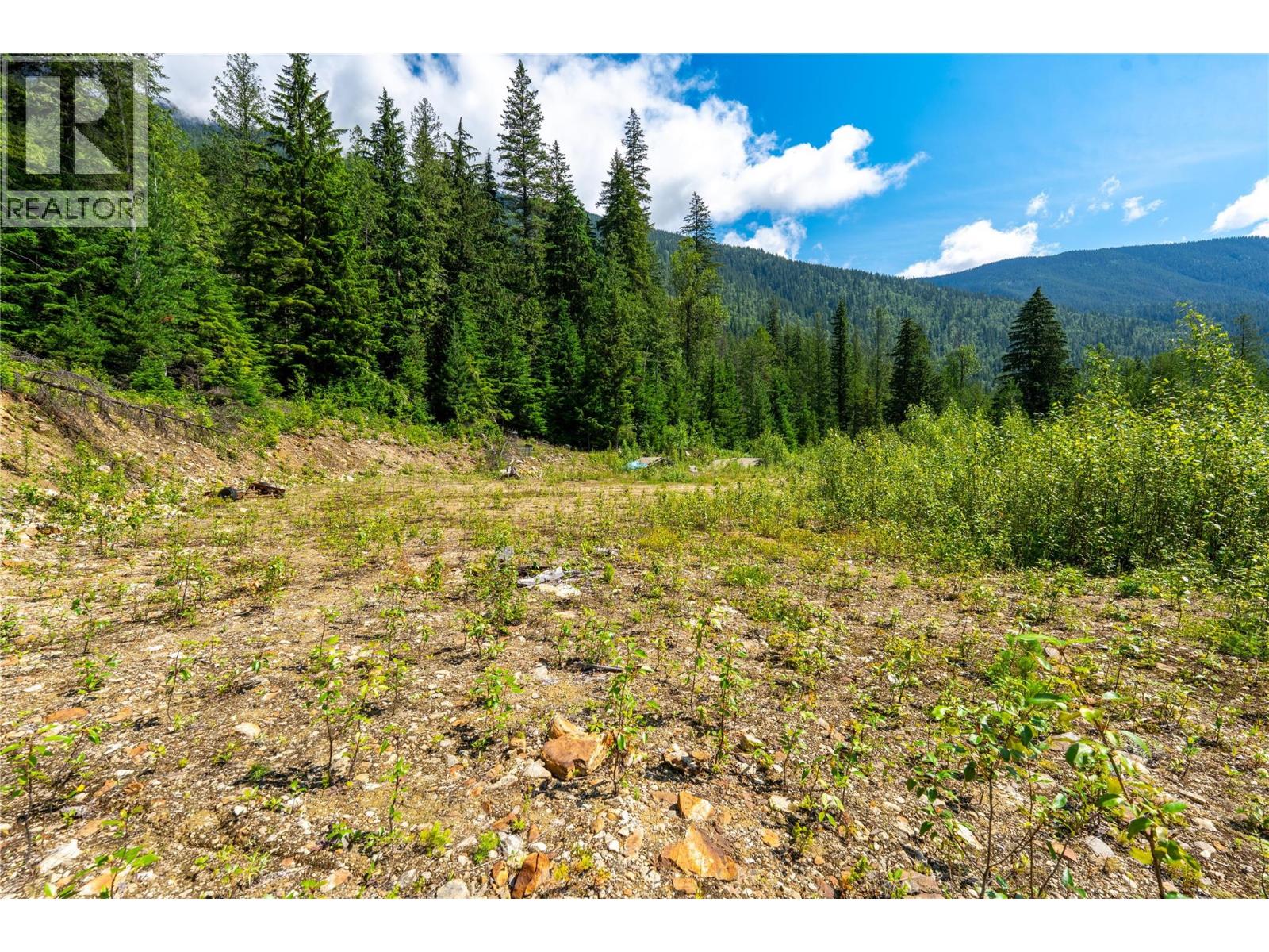 7455 19 Mile Road, Revelstoke, British Columbia  V0E 2S0 - Photo 17 - 10394776