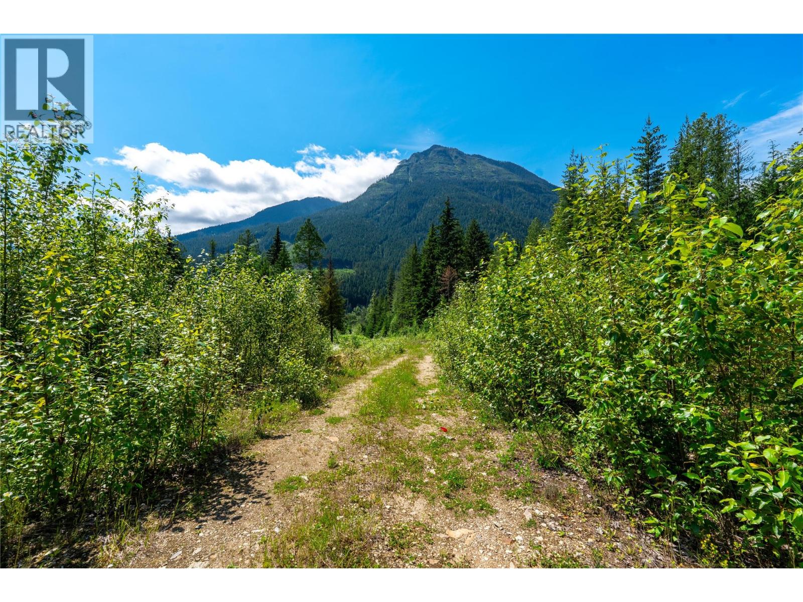 7455 19 Mile Road, Revelstoke, British Columbia  V0E 2S0 - Photo 20 - 10394776