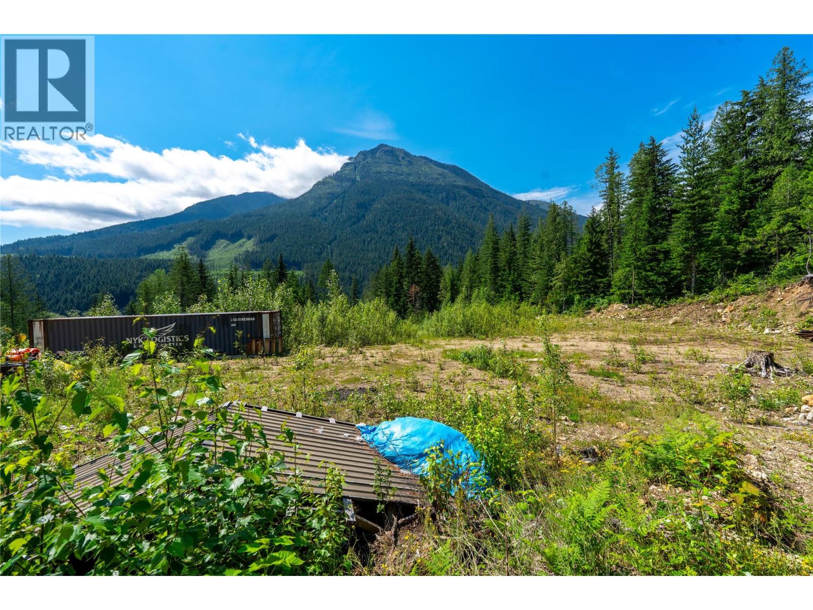 7455 19 Mile Road, Revelstoke, British Columbia  V0E 2S0 - Photo 18 - 10394776