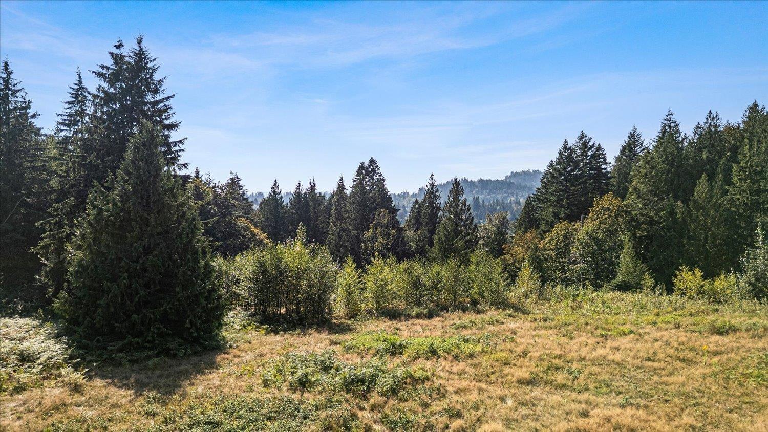 5175 Farnham Road, Ryder Lake, Ryder Lake, British Columbia  V4Z 1E7 - Photo 3 - R3158694