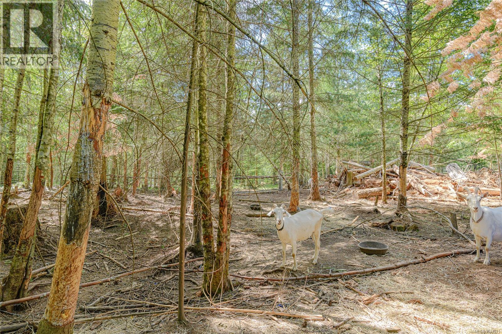 1890 Sooke Lake (Off) Rd, Shawnigan Lake, British Columbia  V8H 2C2 - Photo 70 - 1041611