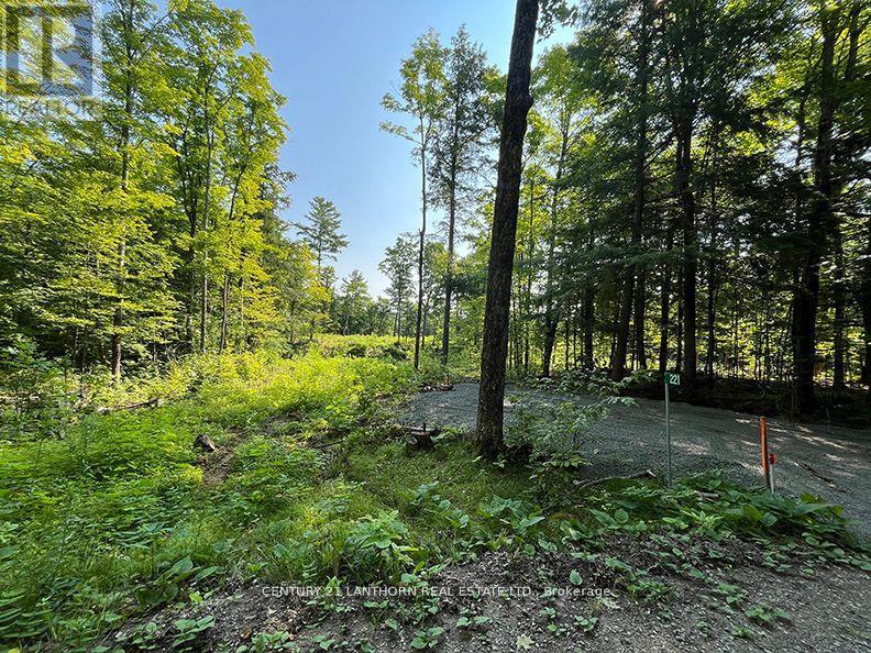 221 Fire Route 5, North Kawartha, Ontario  K0L 3E0 - Photo 16 - X13037642
