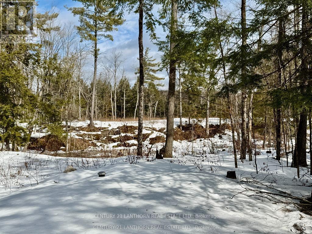 221 Fire Route 5, North Kawartha, Ontario  K0L 3E0 - Photo 21 - X13037642