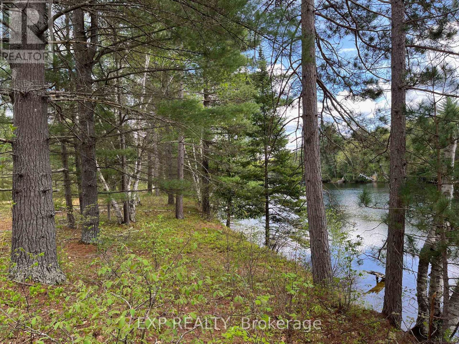Lot 37 Sandy Shores Trail, Madawaska Valley, Ontario  K0J 1B0 - Photo 8 - X12522748