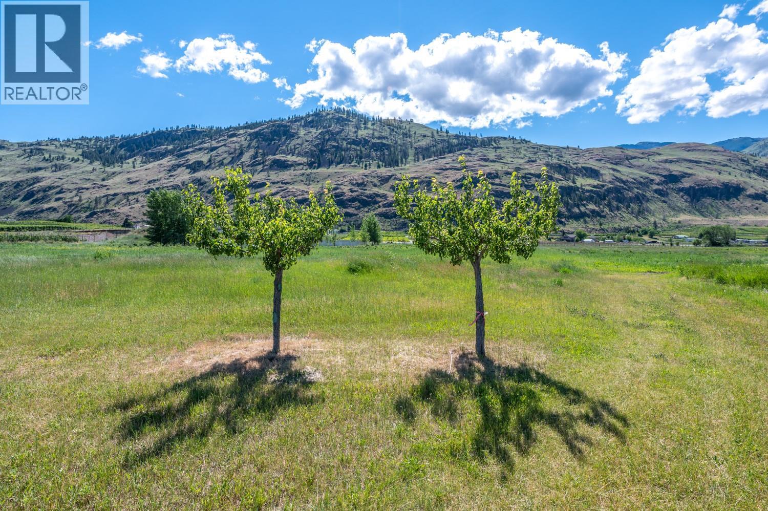 picture 41