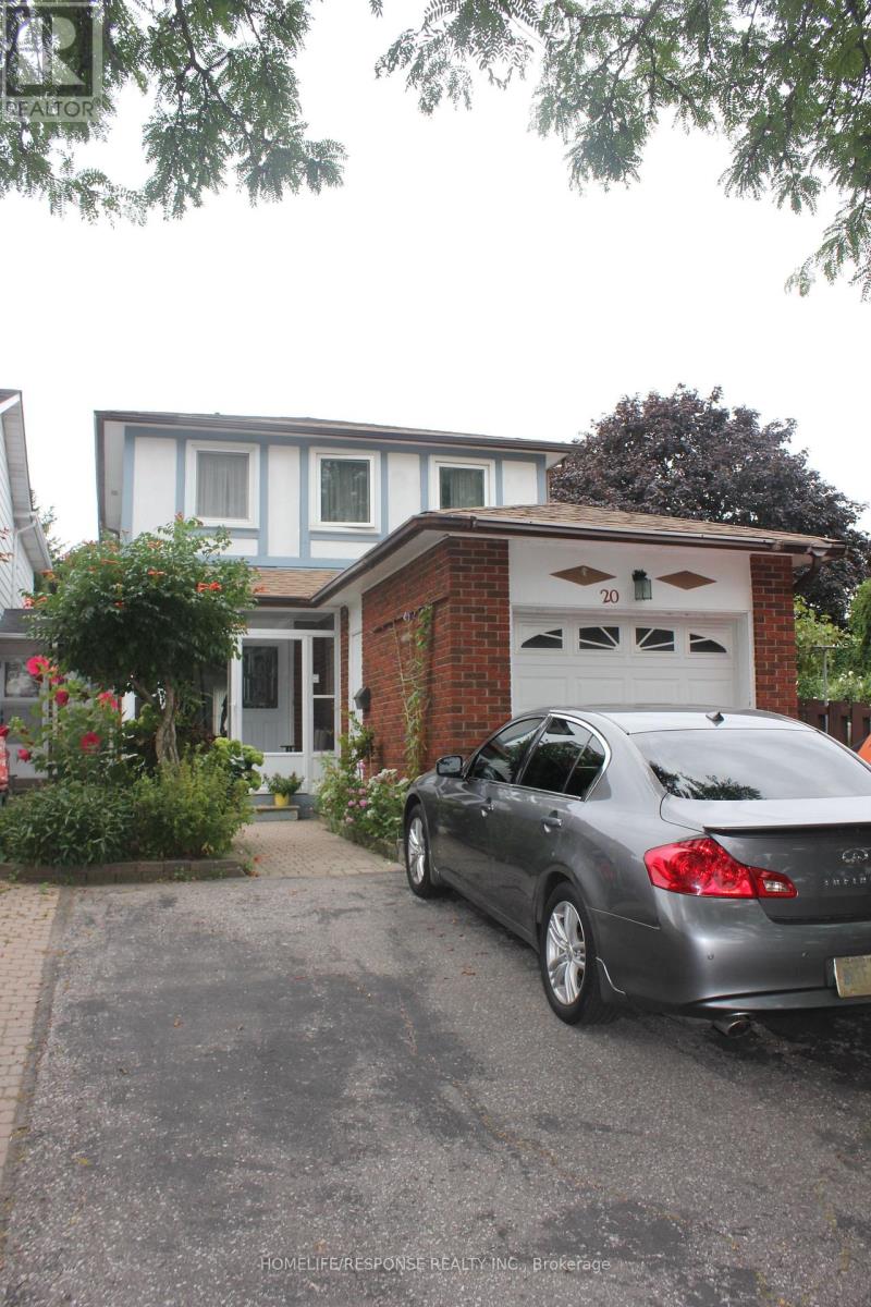 LOWER - 20 NOOTKA CRESCENT, Toronto, Ontario