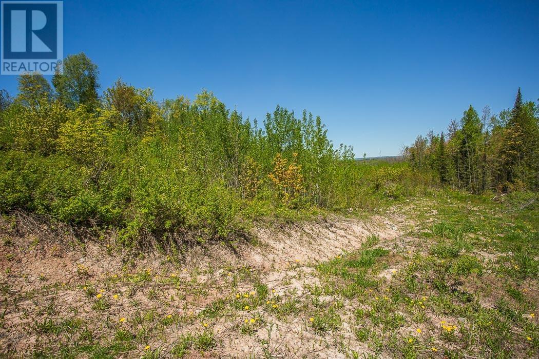 76 Calabogie Rd, Laird Township, Echo Bay, Ontario  P0S 1C0 - Photo 28 - SM262305