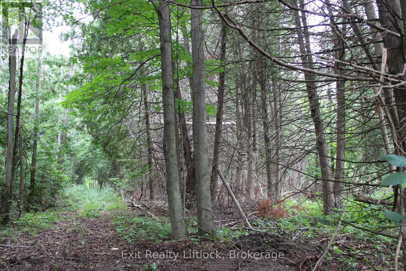 0 Fife's Bay Road, Selwyn, Ontario  K9J 6X3 - Photo 6 - X13714608