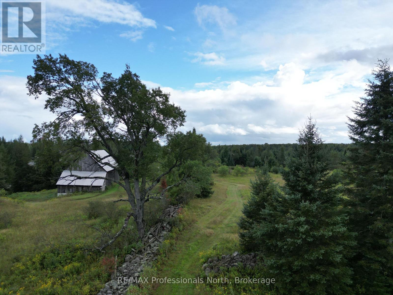 1418 Sedgwick Road, Minden Hills, Ontario  K0M 2K0 - Photo 46 - X13714652