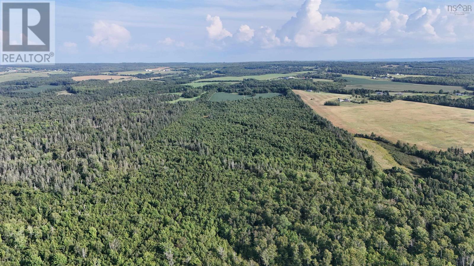 Lot 1 Al Bennett Road, Halls Harbour, Nova Scotia  B0P 1J0 - Photo 17 - 202600336