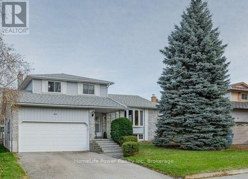 Basement - 6 Hollyberry Place, Guelph (Willow West/sugarbush/west Acres), Ontario  N1K 1P2 - Photo 1 - X13709060