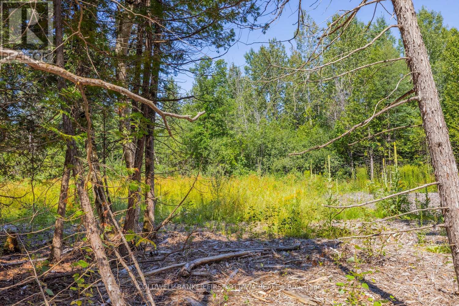 0 Forbes Road, North Grenville, Ontario  K0G 1N0 - Photo 12 - X13069758