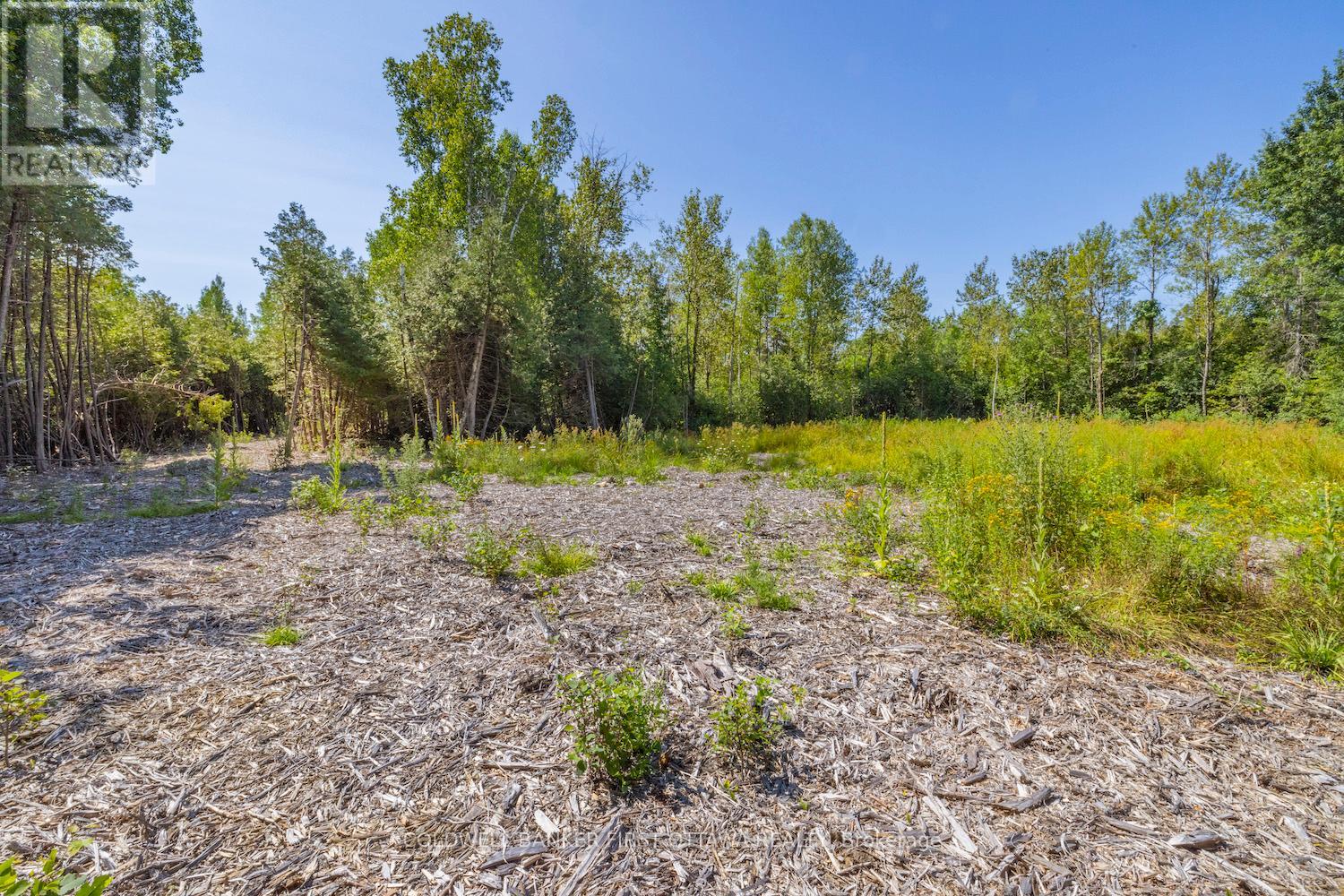 0 Forbes Road, North Grenville, Ontario  K0G 1N0 - Photo 9 - X13069758