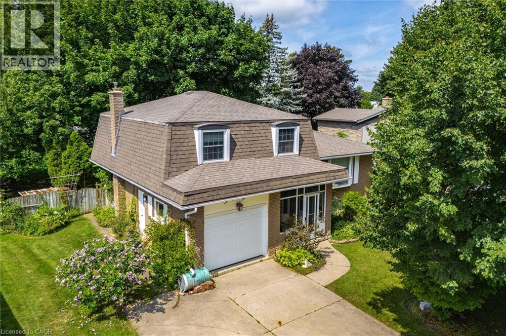 22 GREEN WARBLER Crescent, Elmira, Ontario