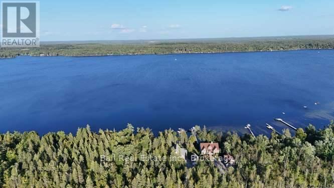 31 Beaver Drive, Kawartha Lakes, Ontario  K0M 1K0 - Photo 41 - X13714890