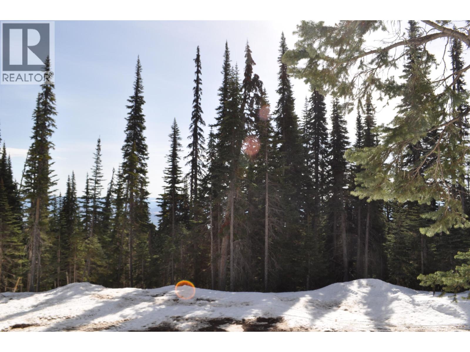 Pt. St Lt 7 Alpine Way, Smithers, British Columbia  V0J 2N0 - Photo 3 - R2947799