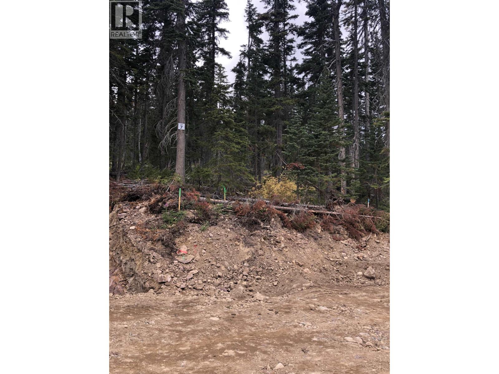 Pt. St Lt 7 Alpine Way, Smithers, British Columbia  V0J 2N0 - Photo 4 - R2947799