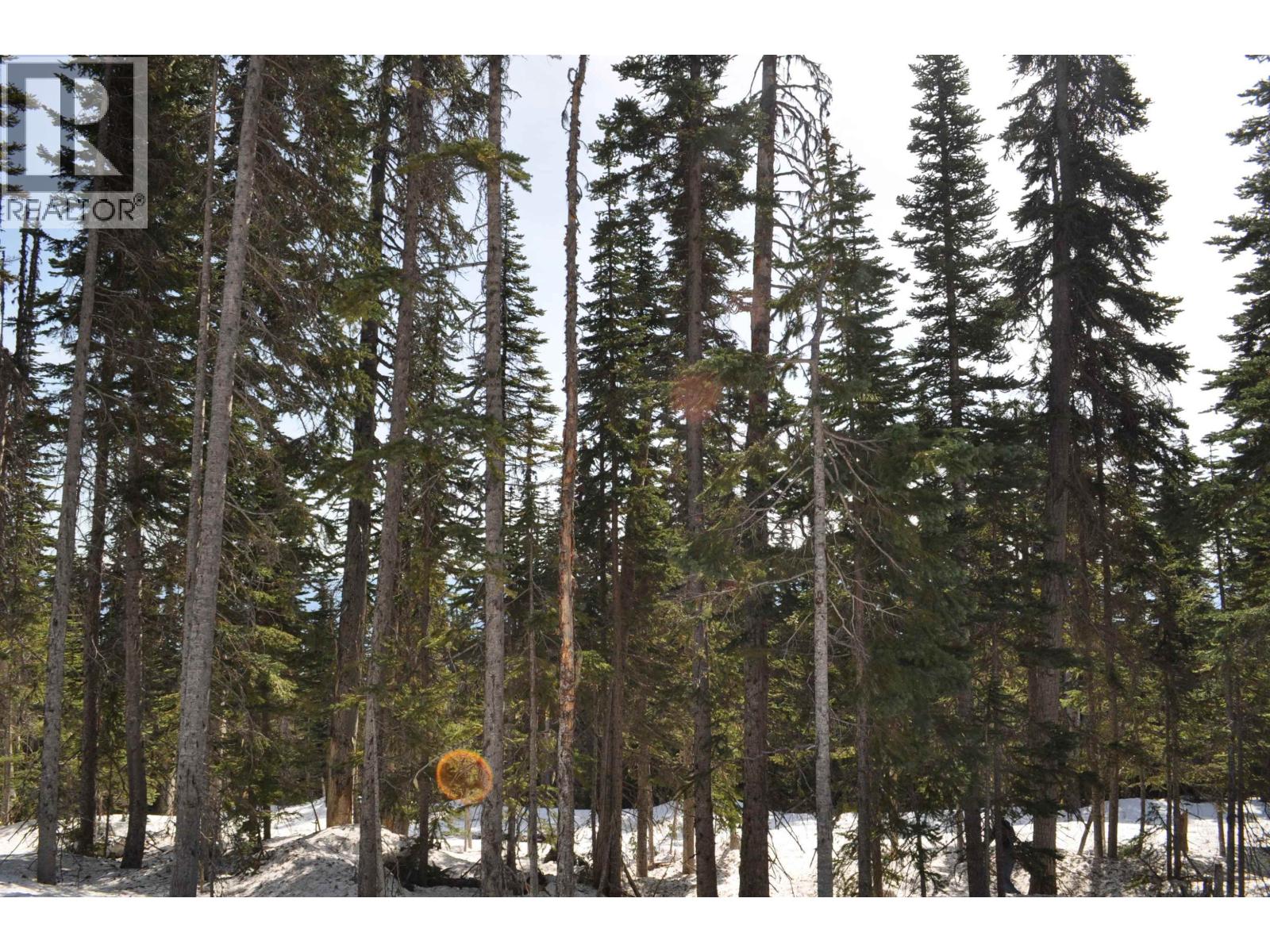 Pr. St Lt 6 Alpine Way, Smithers, British Columbia  V0J 2N0 - Photo 3 - R2974098