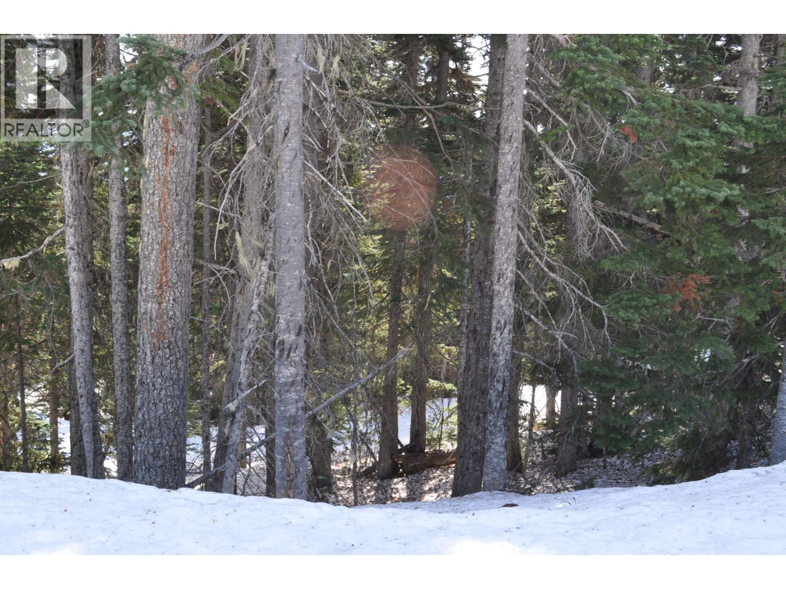 Pr. St Lt 8 Alpine Way, Smithers, British Columbia  V0J 2N0 - Photo 4 - R3006127