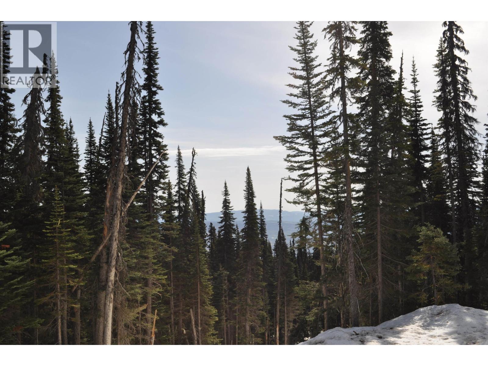 Pr. St Lt 8 Alpine Way, Smithers, British Columbia  V0J 2N0 - Photo 2 - R3006127