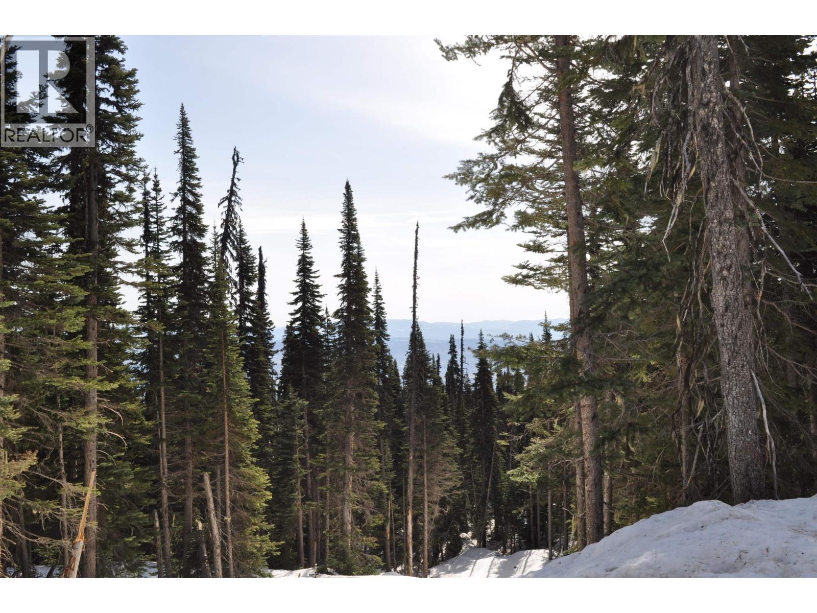 Pr. St Lt 8 Alpine Way, Smithers, British Columbia  V0J 2N0 - Photo 3 - R3006127