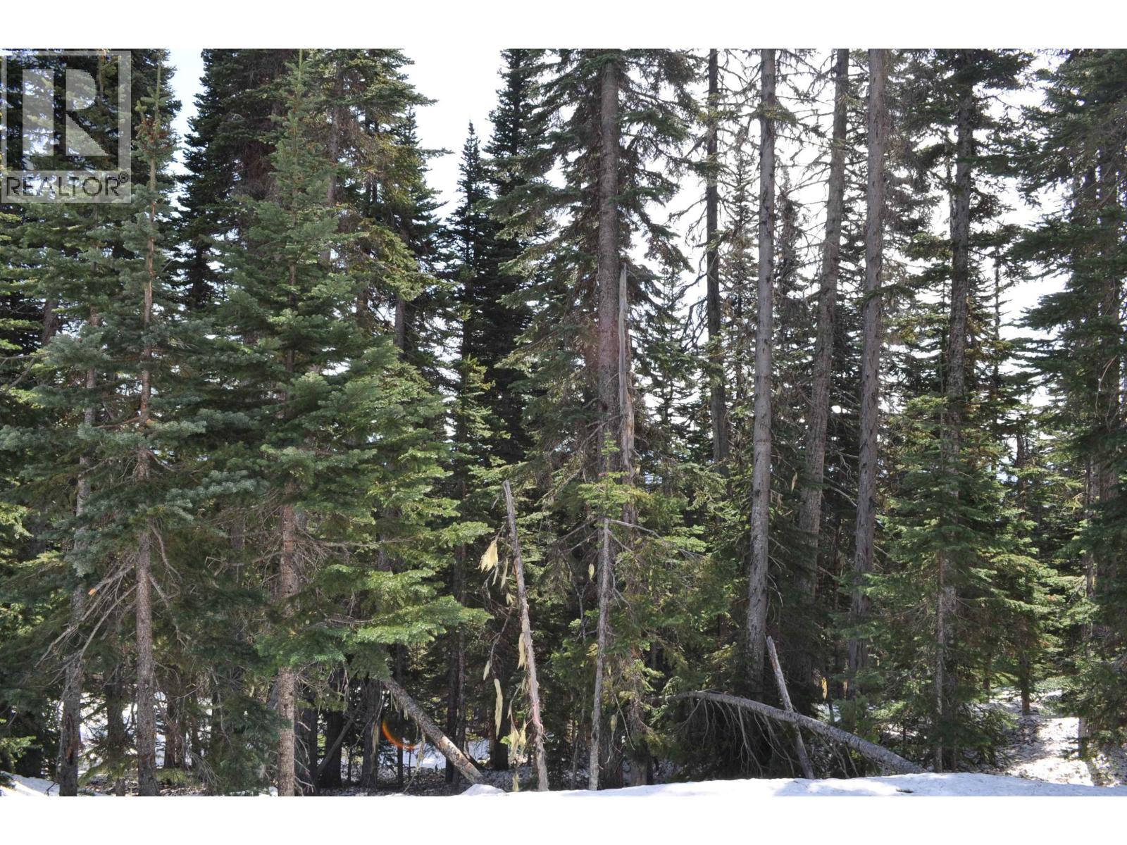 Pr. St Lt 8 Alpine Way, Smithers, British Columbia  V0J 2N0 - Photo 6 - R3006127