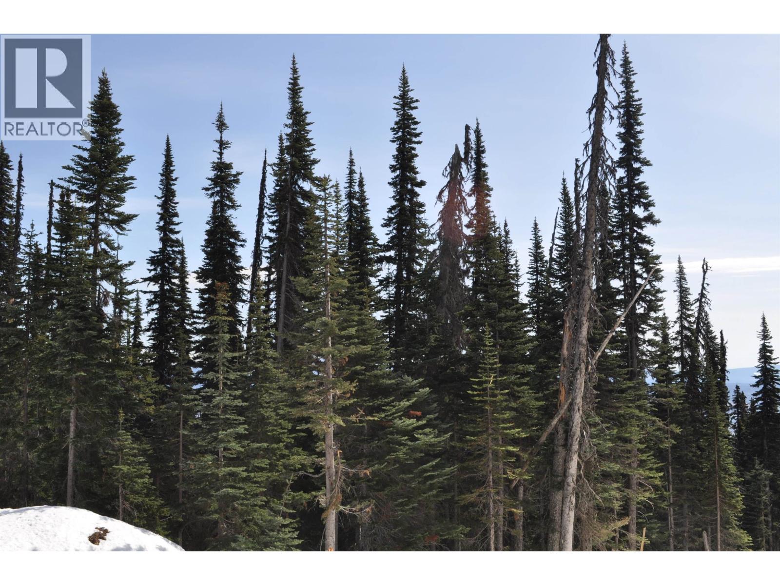 Pr. St Lt 8 Alpine Way, Smithers, British Columbia  V0J 2N0 - Photo 1 - R3006127