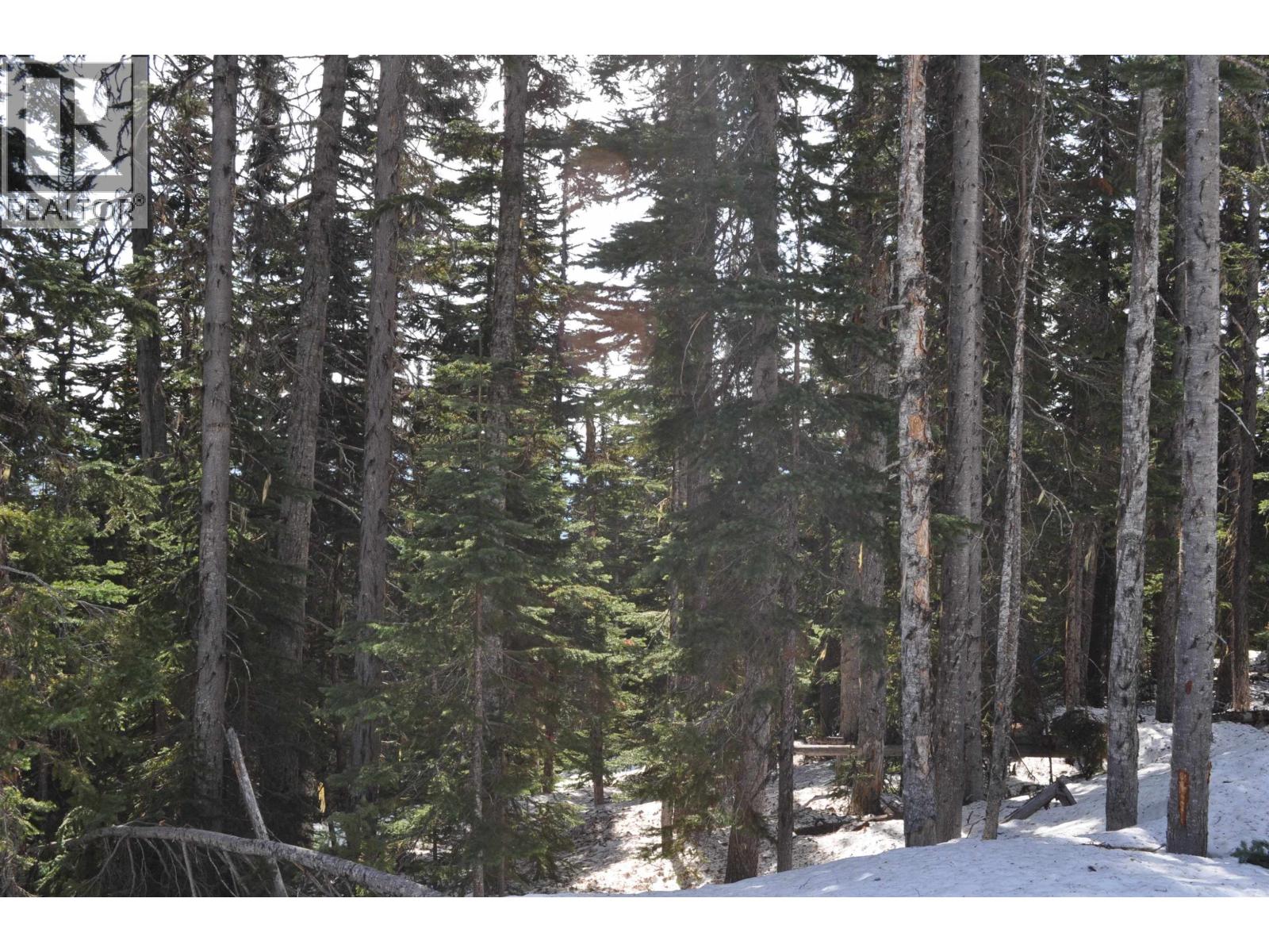 Pr. St Lt 8 Alpine Way, Smithers, British Columbia  V0J 2N0 - Photo 5 - R3006127