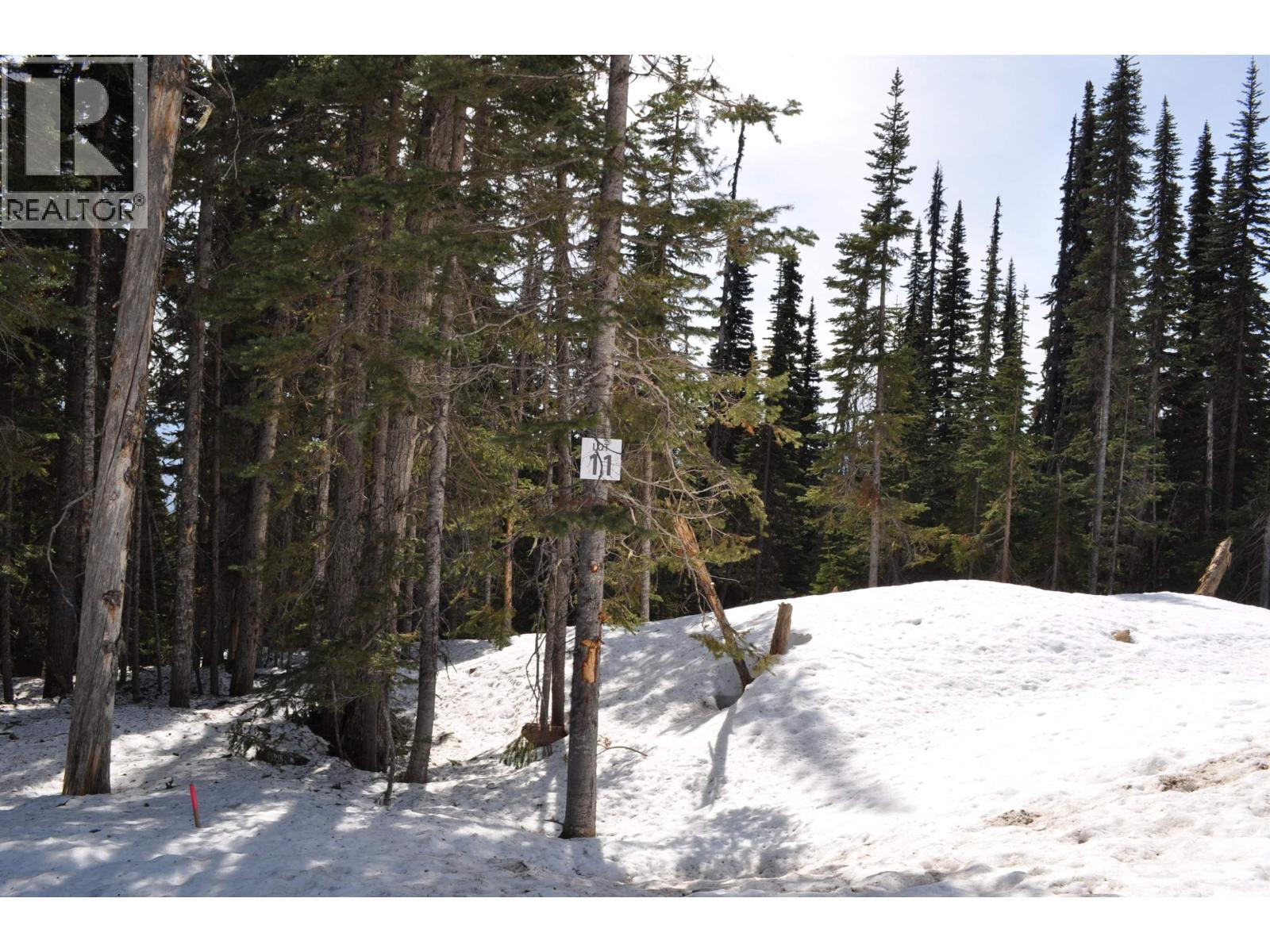 Pr. St Lt 11 Alpine Way, Smithers, British Columbia  V0J 2N0 - Photo 1 - R3006456