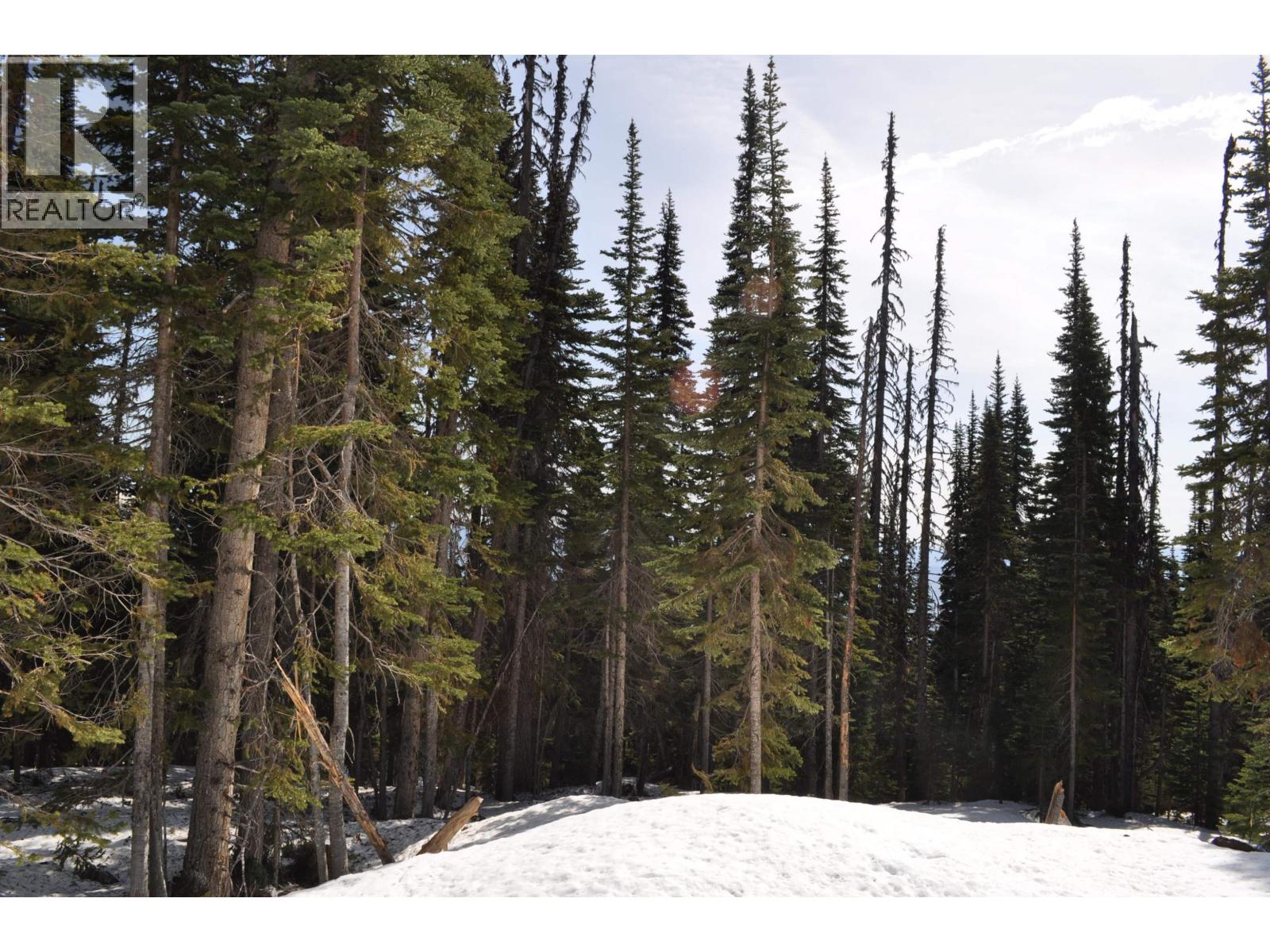 Pr. St Lt 11 Alpine Way, Smithers, British Columbia  V0J 2N0 - Photo 3 - R3006456