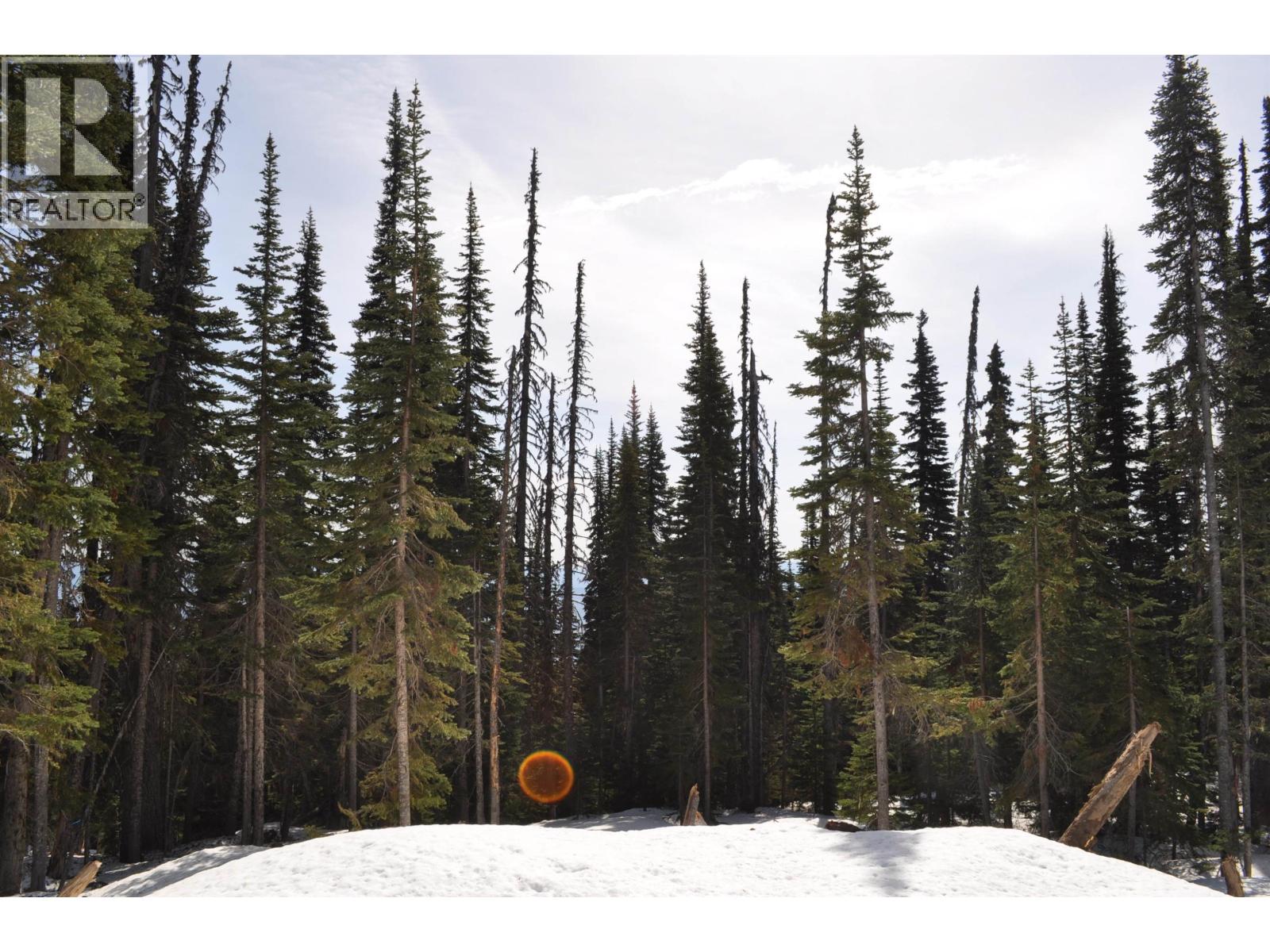 Pr. St Lt 11 Alpine Way, Smithers, British Columbia  V0J 2N0 - Photo 2 - R3006456