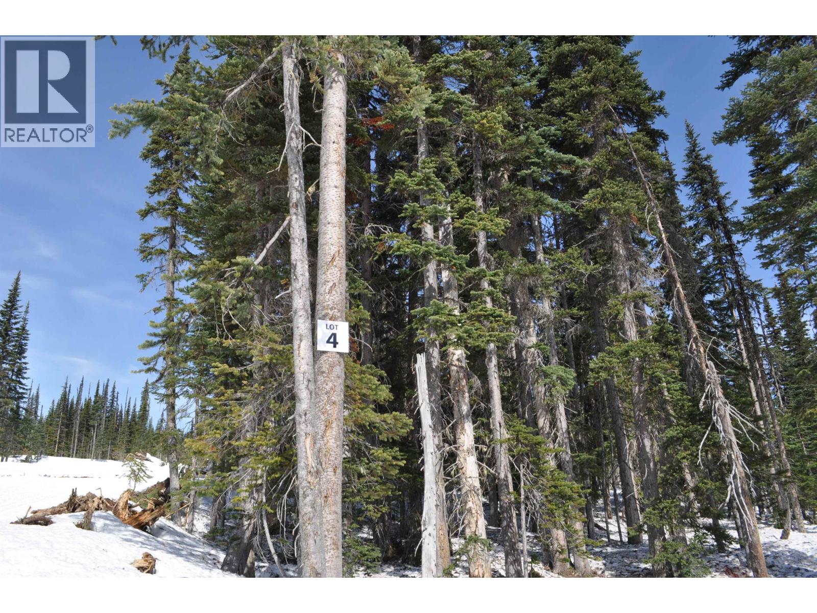 Pt. St 4 Alpine Way, Smithers, British Columbia  V0J 2N0 - Photo 1 - R3109685