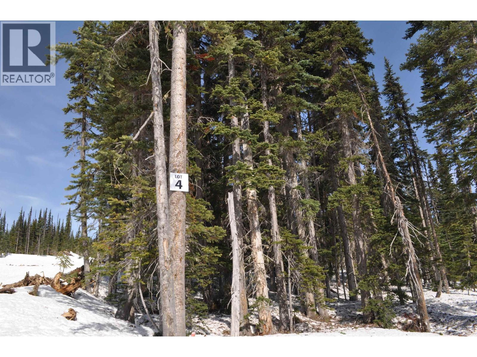 Pt. St 4 Alpine Way, Smithers, British Columbia  V0J 2N0 - Photo 2 - R3109685