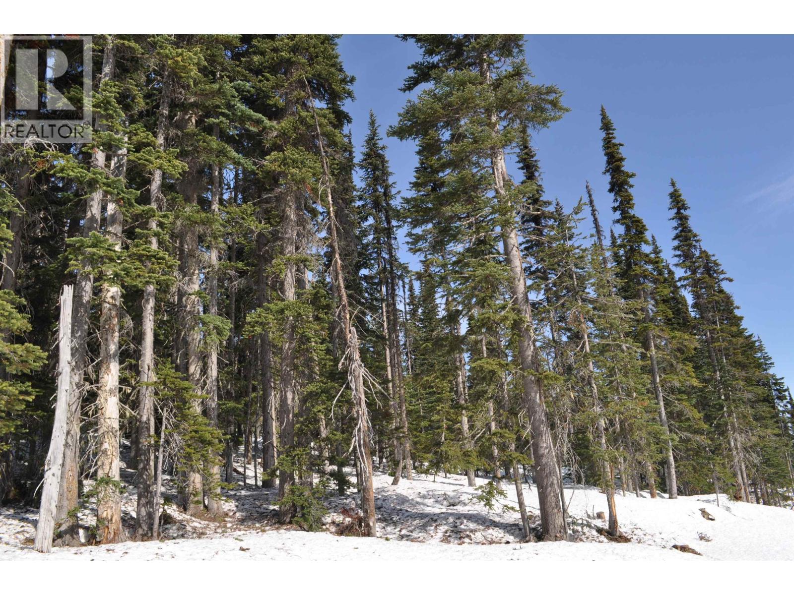 Pt. St 4 Alpine Way, Smithers, British Columbia  V0J 2N0 - Photo 3 - R3109685
