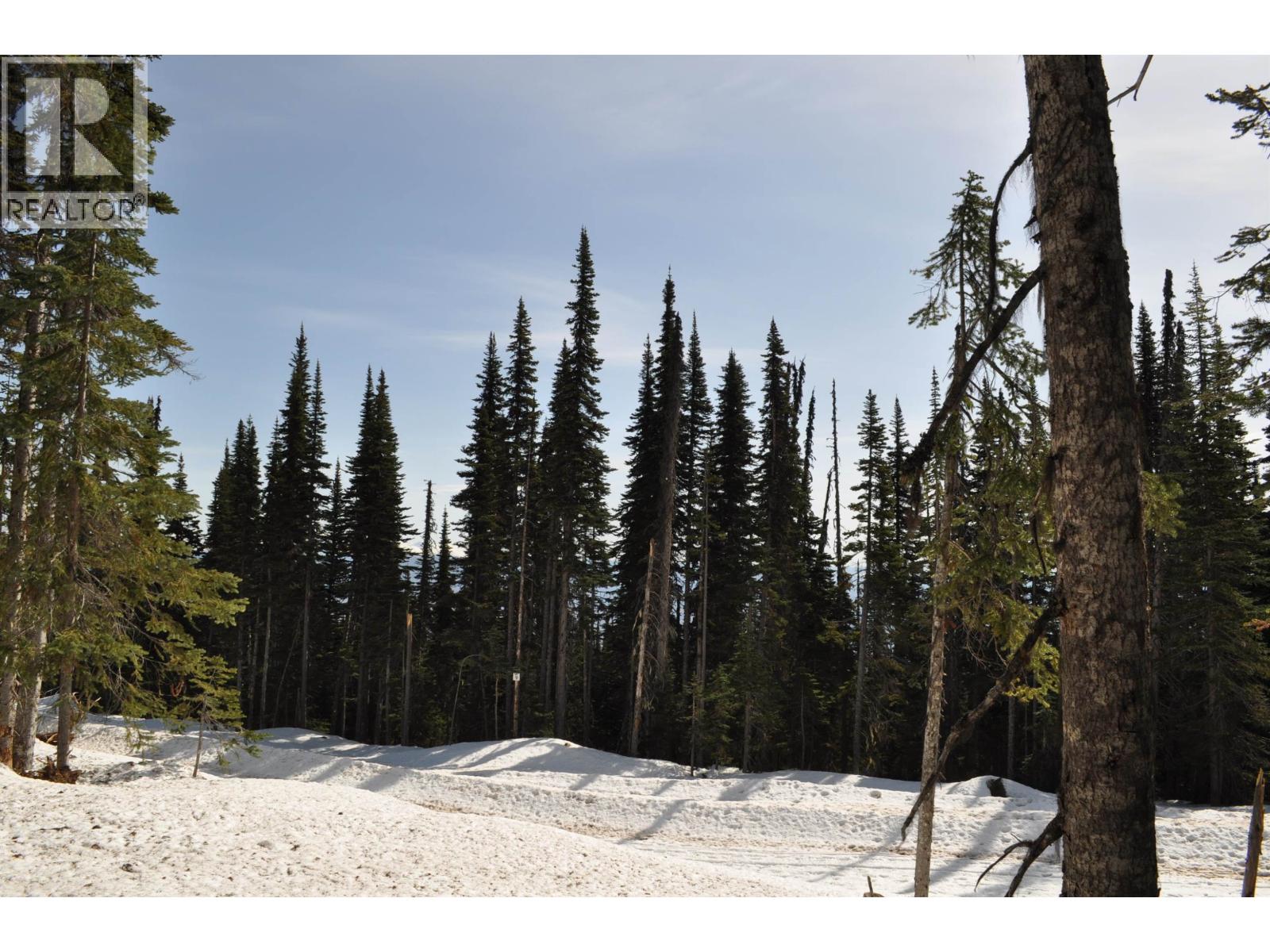 Pt. St 4 Alpine Way, Smithers, British Columbia  V0J 2N0 - Photo 4 - R3109685