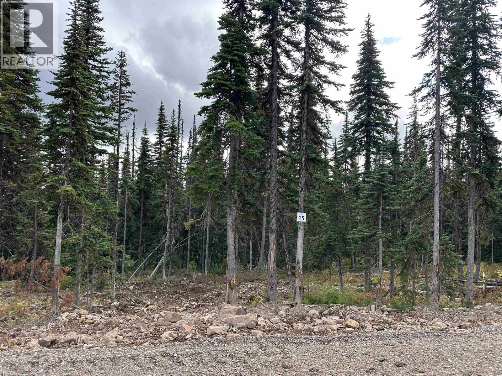 Pr. St Lt 15 Alpine Way, Smithers, British Columbia  V0J 2N0 - Photo 1 - R3050327