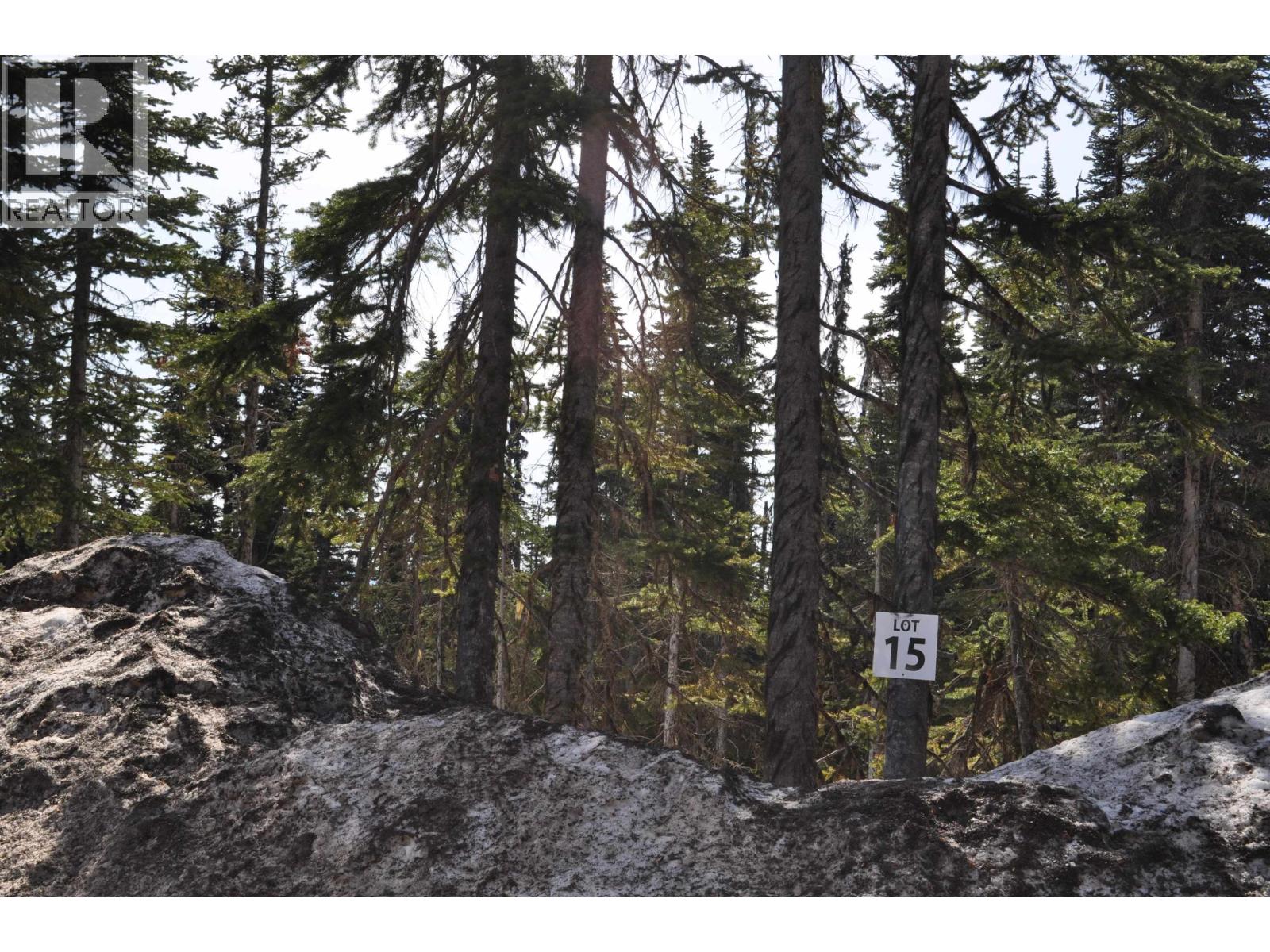 Pr. St Lt 15 Alpine Way, Smithers, British Columbia  V0J 2N0 - Photo 5 - R3050327