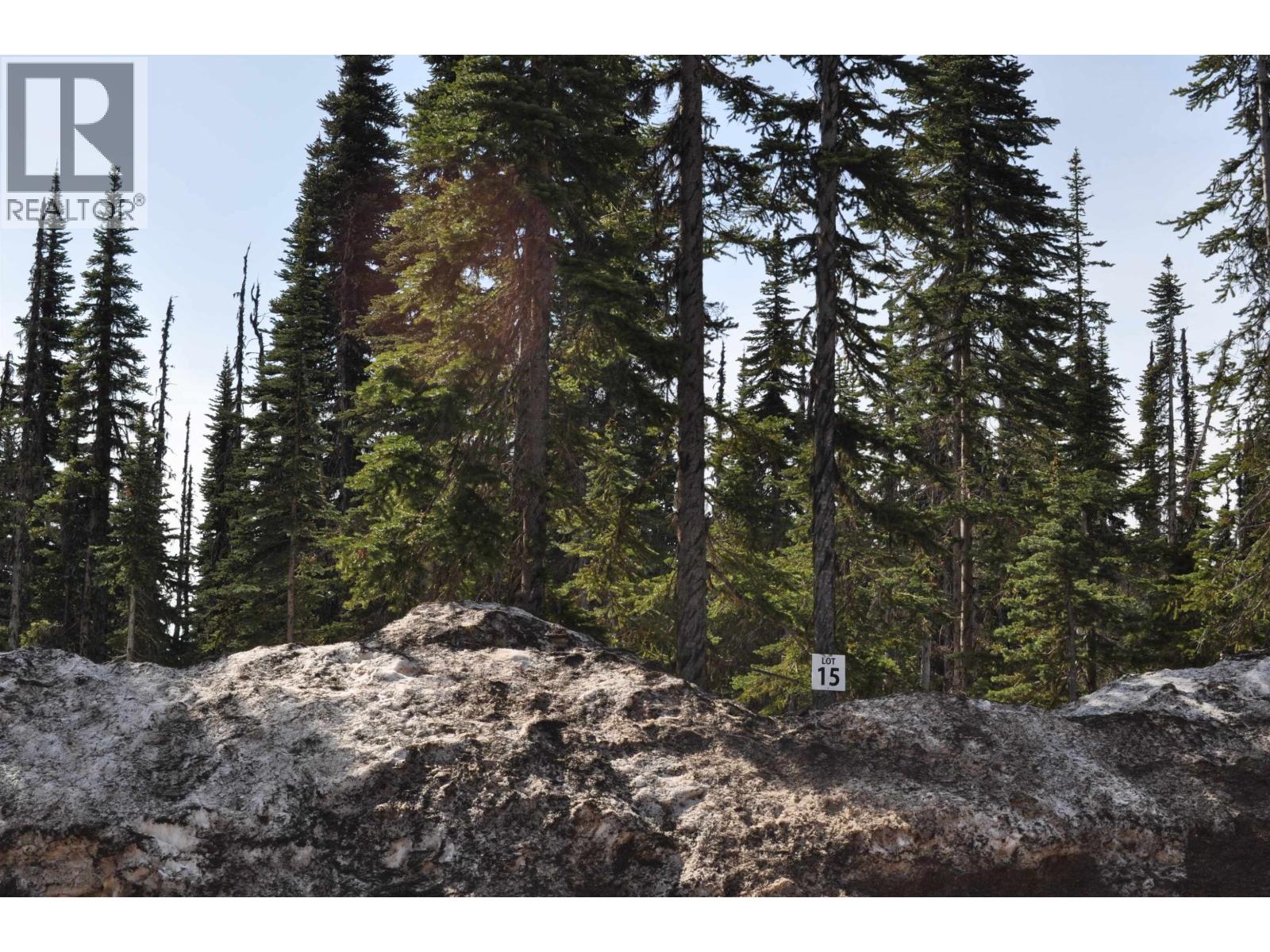 Pr. St Lt 15 Alpine Way, Smithers, British Columbia  V0J 2N0 - Photo 4 - R3050327