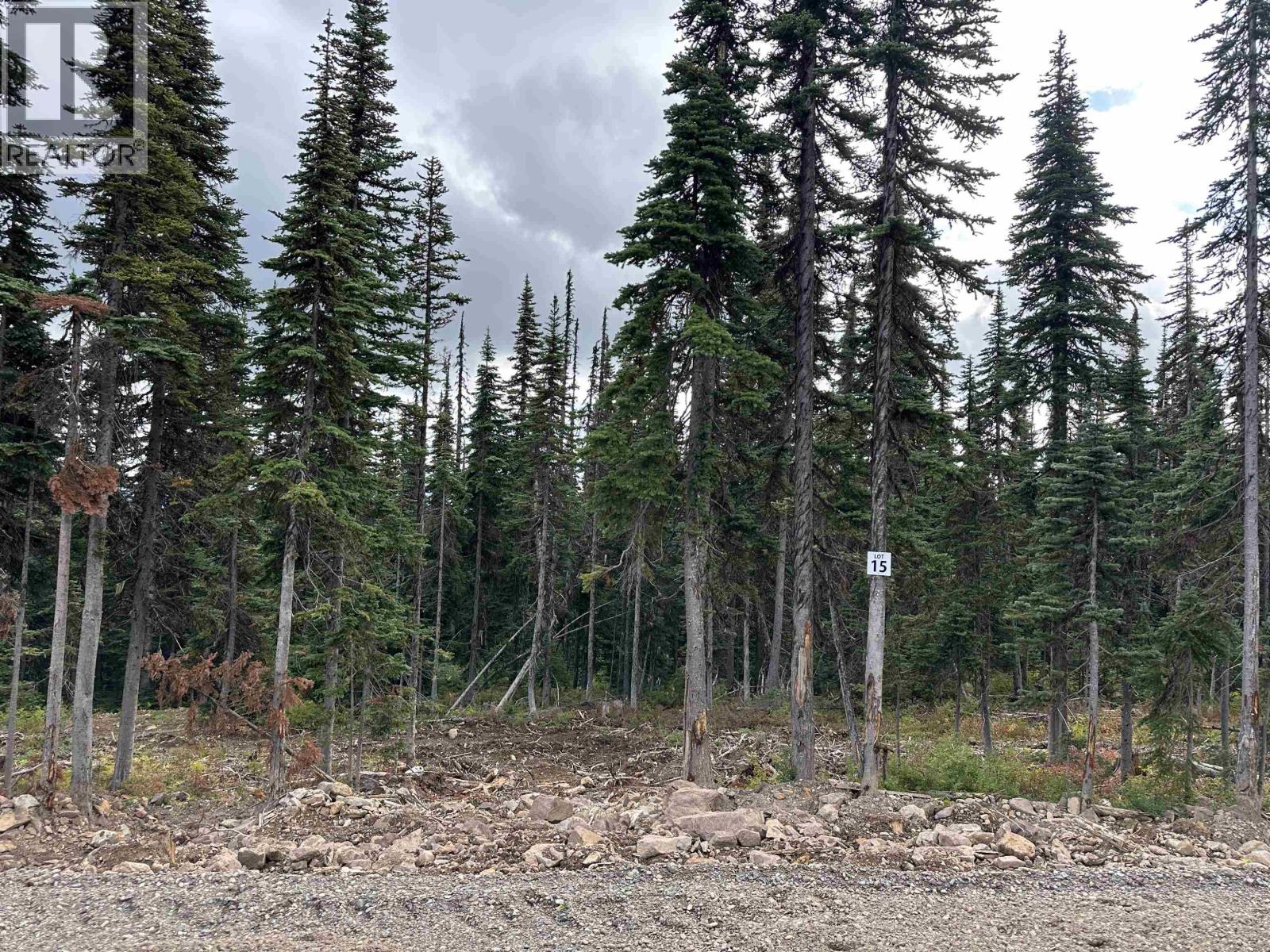 Pr. St Lt 15 Alpine Way, Smithers, British Columbia  V0J 2N0 - Photo 3 - R3050327