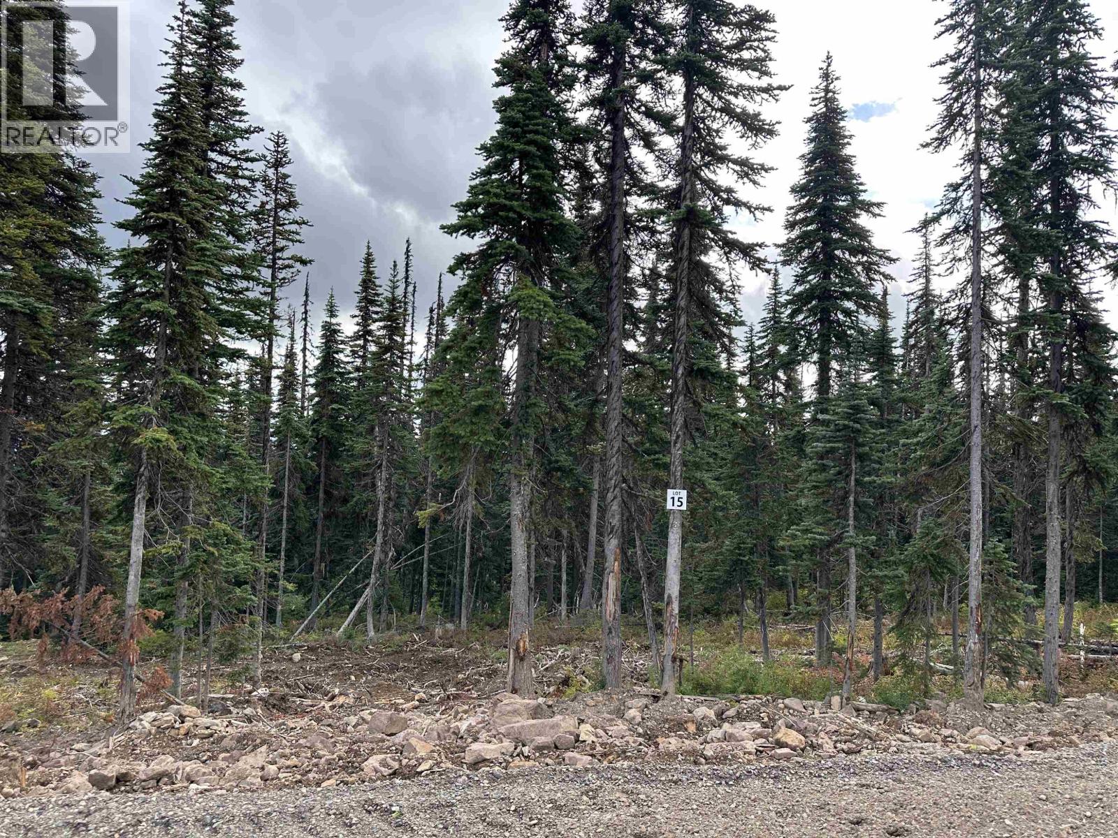 Pr. St Lt 15 Alpine Way, Smithers, British Columbia  V0J 2N0 - Photo 2 - R3050327