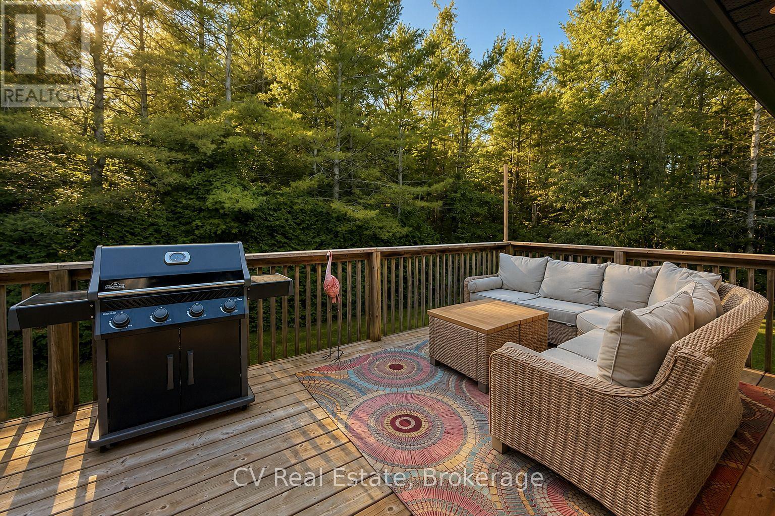 595530 4th Line, Blue Mountains, Ontario  N0H 2H0 - Photo 11 - X13714878