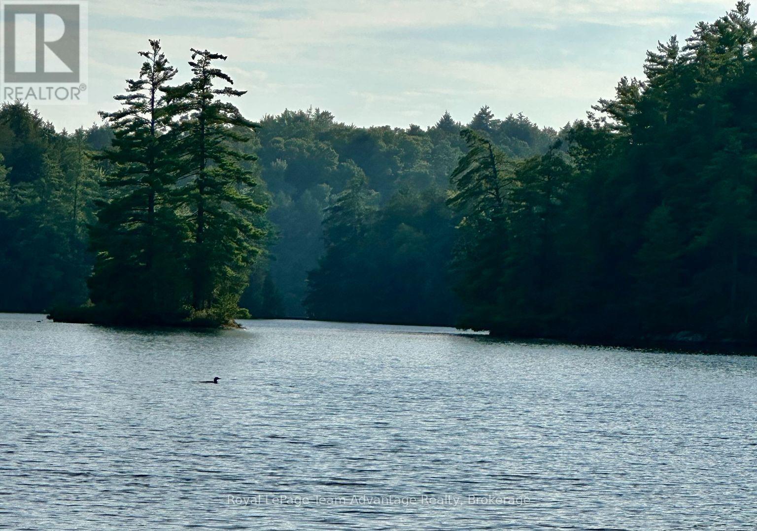 94 Crane Lake W/a, The Archipelago, Ontario  P2A 0B7 - Photo 7 - X13715040