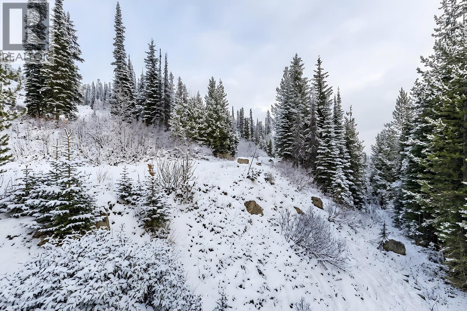 5940 Snow Pines Way Unit# 11, Big White, British Columbia  V1P 1P3 - Photo 38 - 10394411