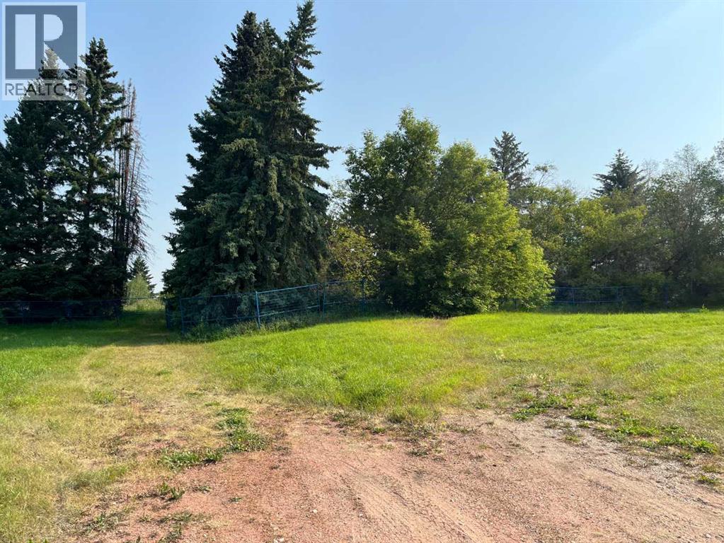 5128 & 5124 56 Street, Innisfail, Alberta  T4G 1R5 - Photo 8 - A2334296