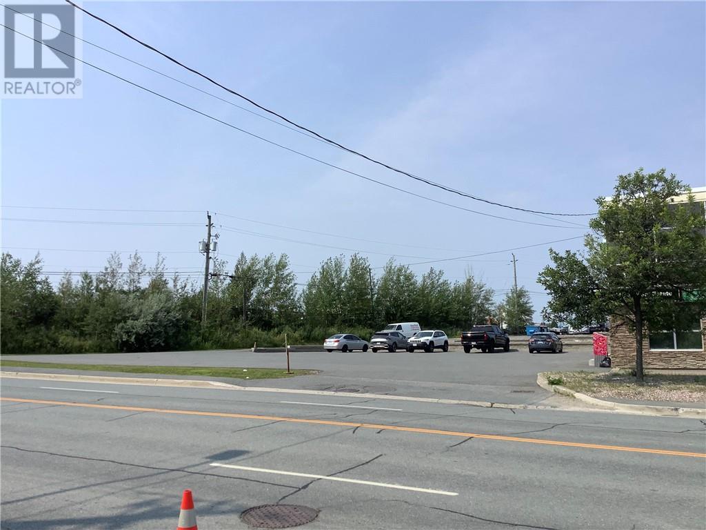 174 Douglas Street, Sudbury, Ontario  P3E 1G1 - Photo 11 - 2130029