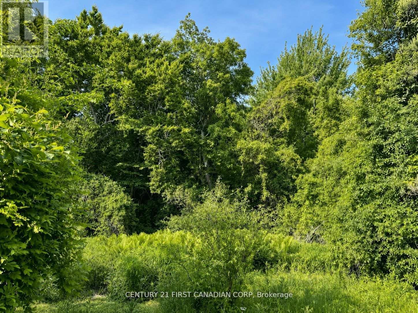 1341 Aldersbrook Road, London North, Ontario  N6G 3J1 - Photo 26 - X13715186
