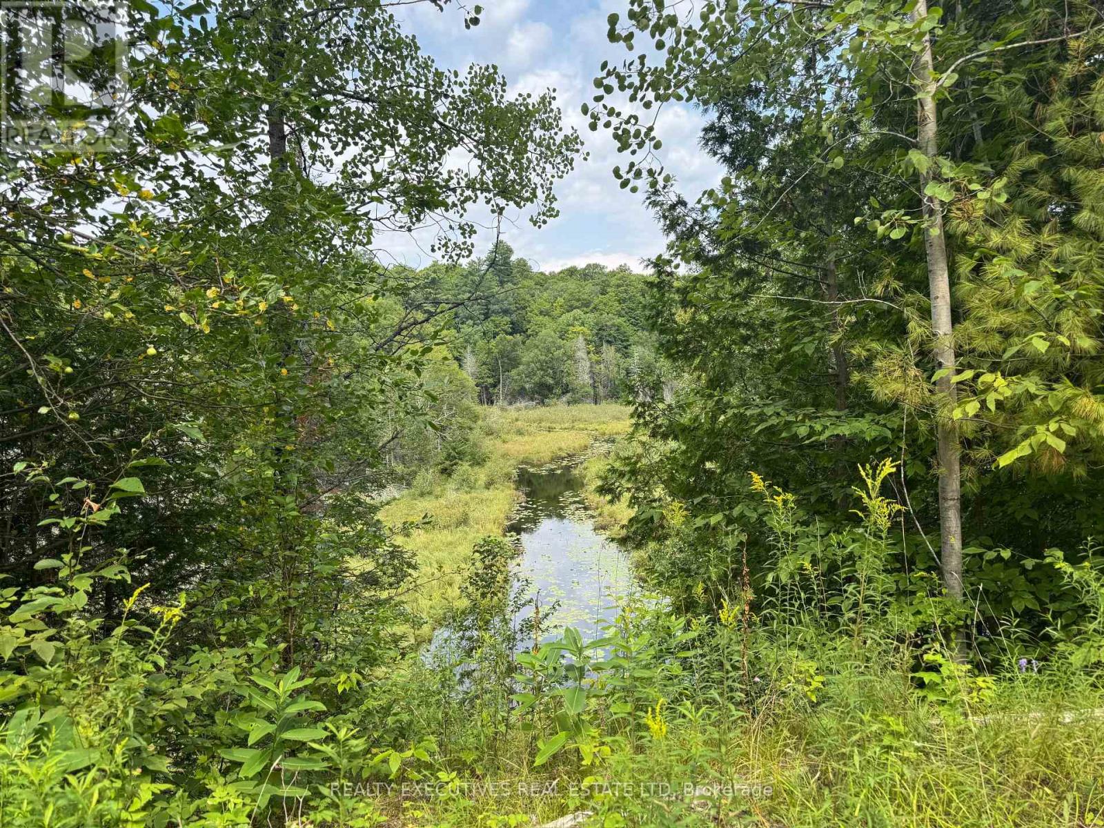 0 Black Creek Road N, Lanark Highlands, Ontario  K0G 1K0 - Photo 16 - X13715240