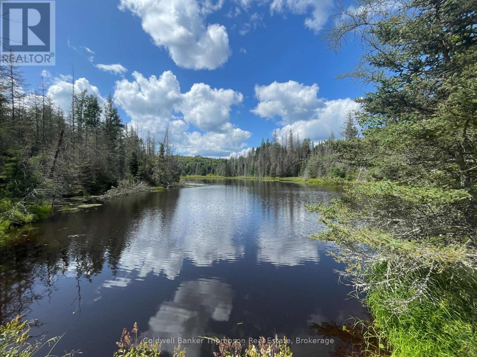 458 Leighton Road, Machar, Ontario P0A 1X0 - Photo 3 - X13715336
