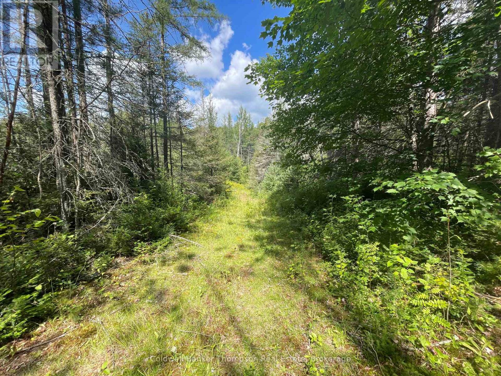 458 Leighton Road, Machar, Ontario P0A 1X0 - Photo 43 - X13715336